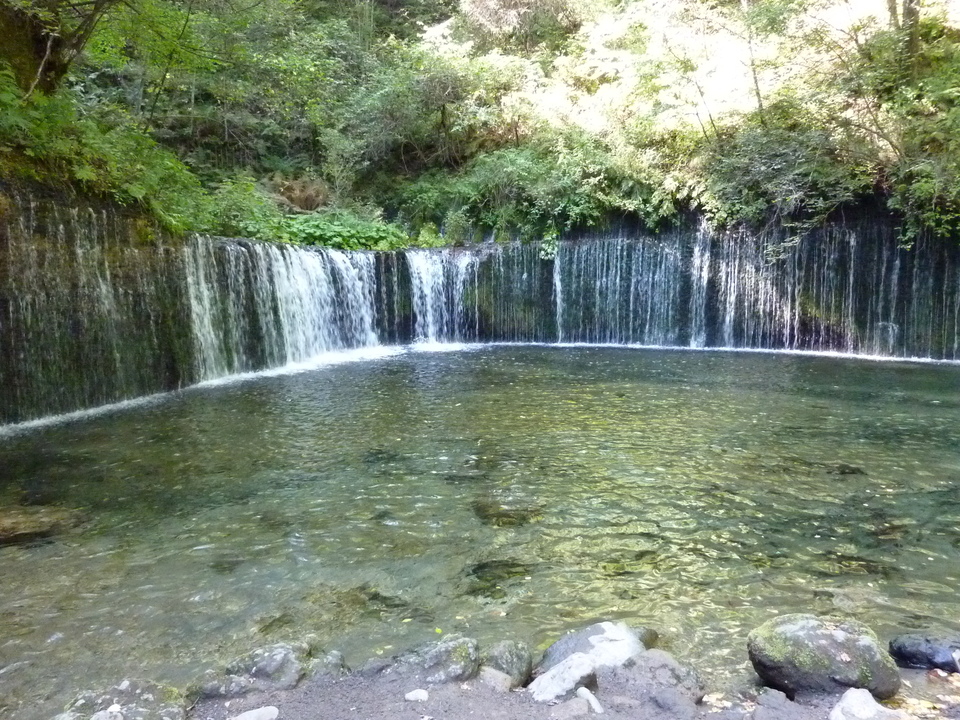P1000138_mid.jpg