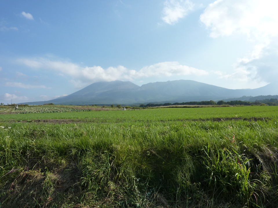 P1000153_mid.jpg