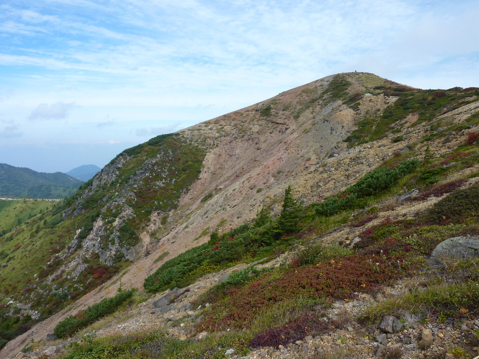 P1000216_mid.jpg