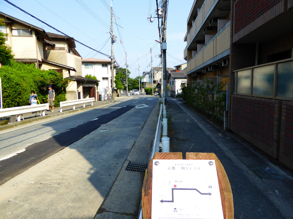 P1010236_mid.jpg