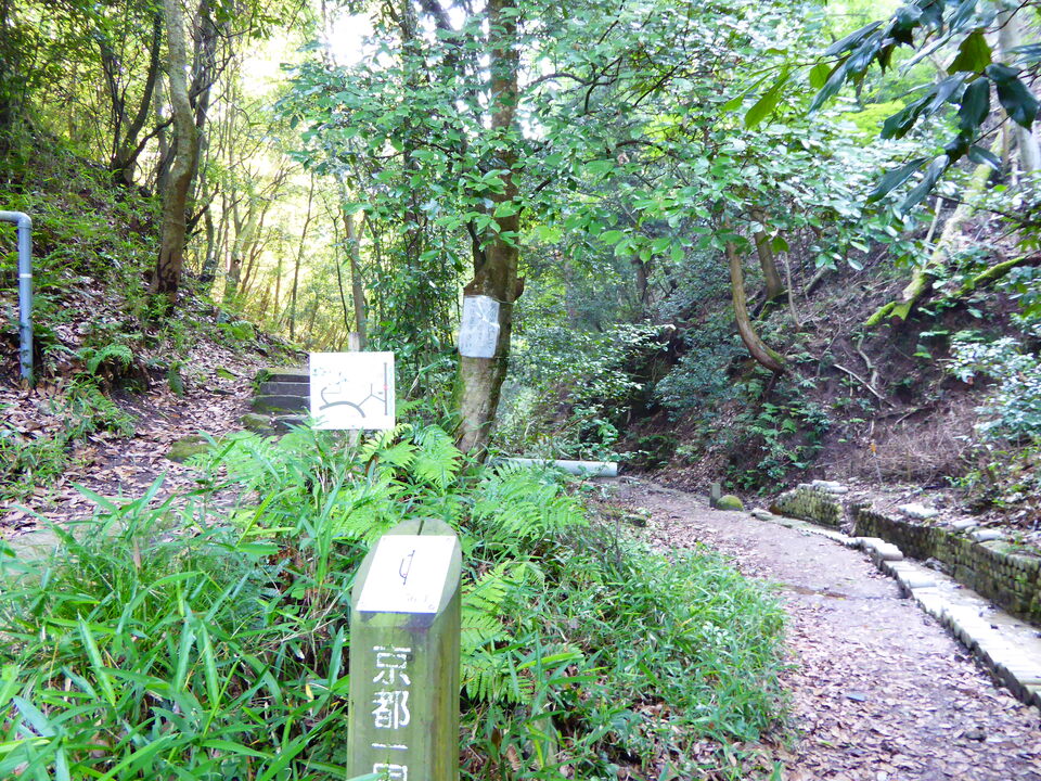 P1010242_mid.jpg