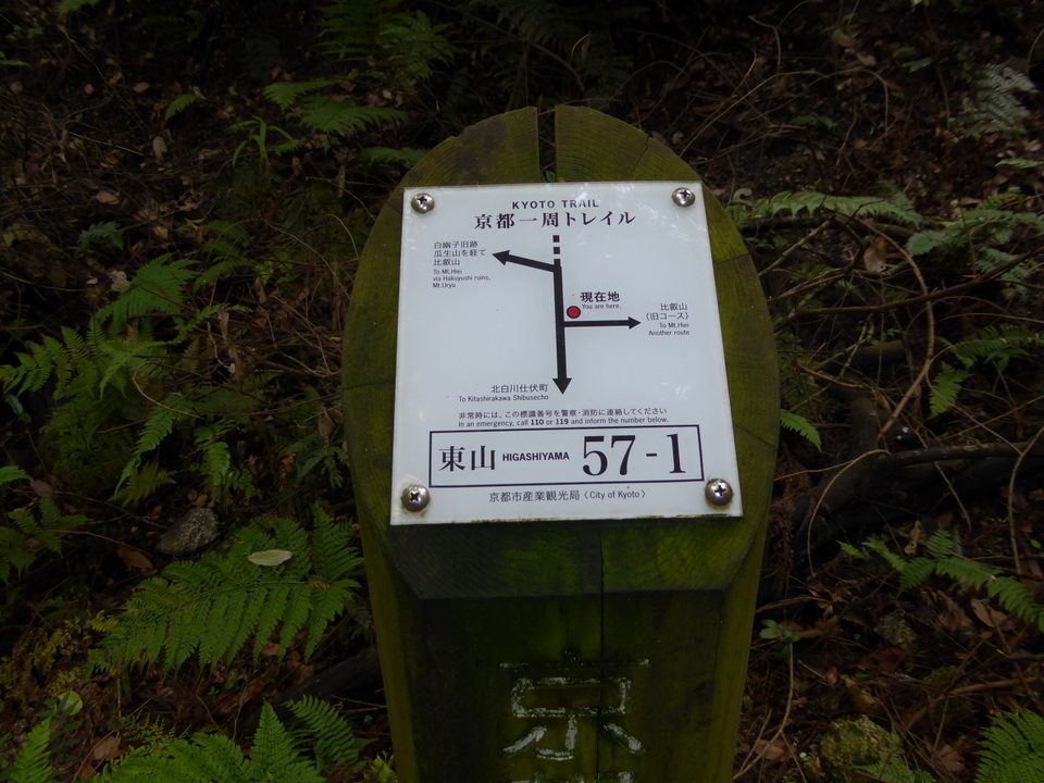 P1010248_mid.jpg