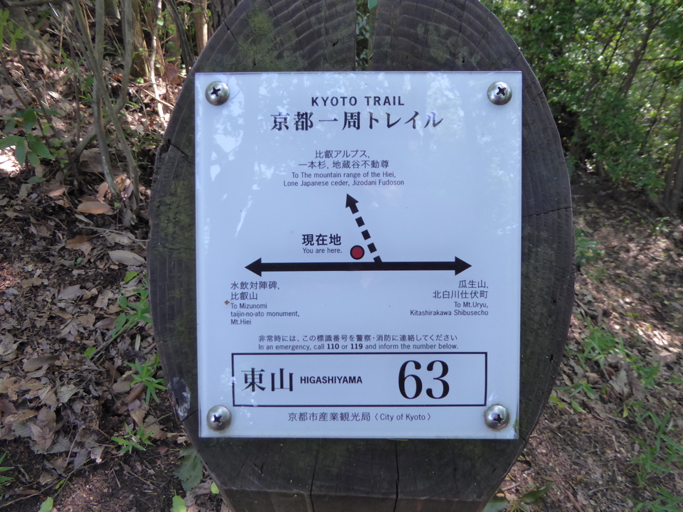 P1010267_mid.jpg