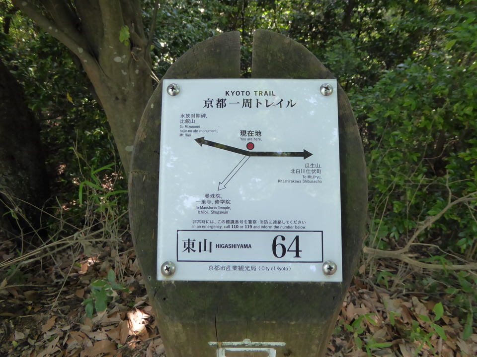 P1010272_mid.jpg