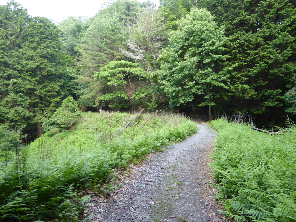 P1010284_mid.jpg