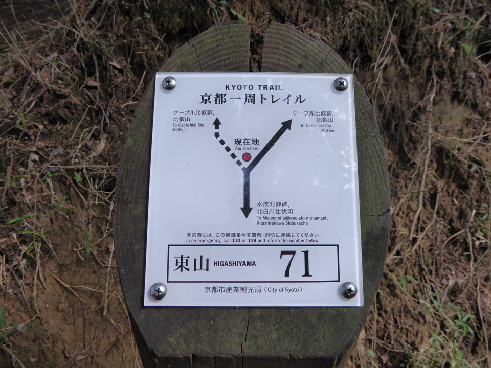 P1010307_mid.jpg