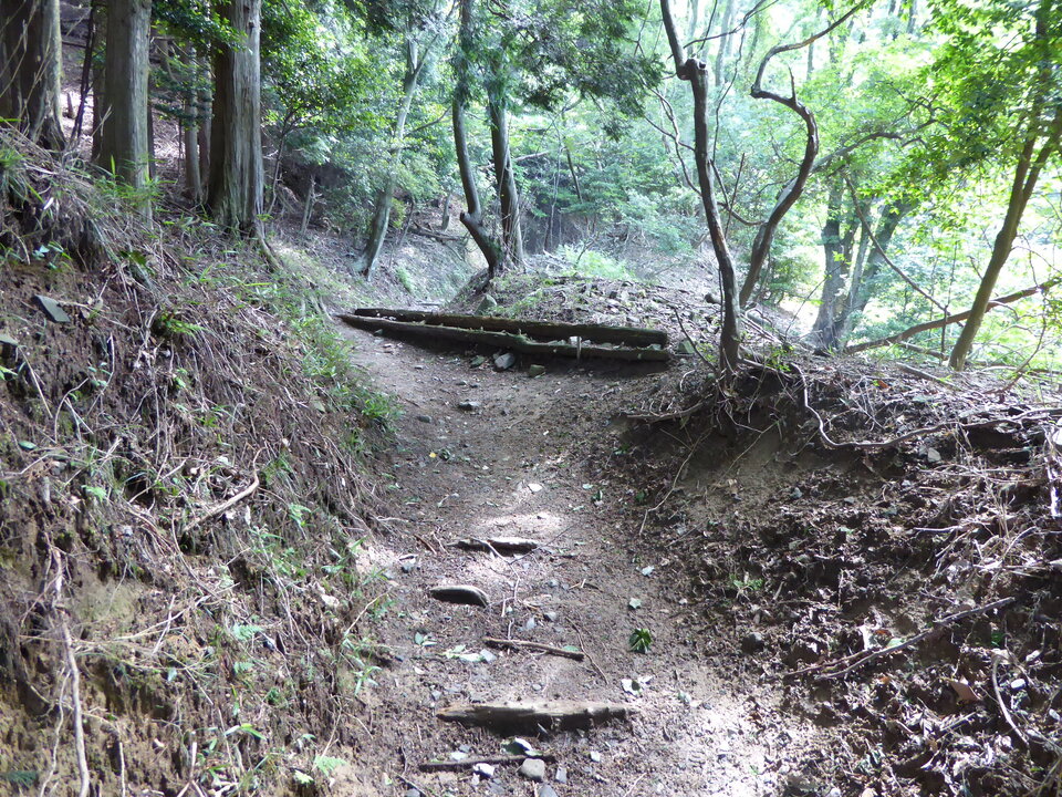 P1010310_mid.jpg