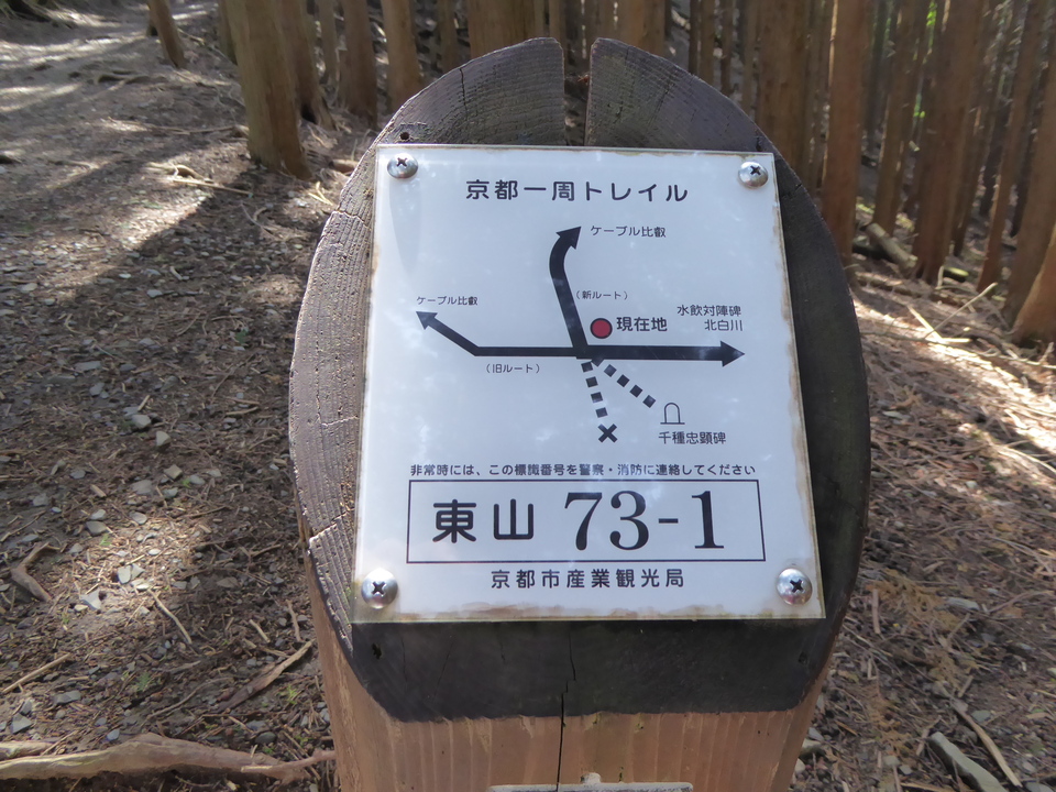 P1010314_mid.jpg