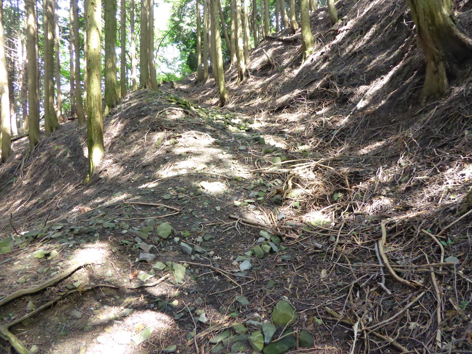P1010319_mid.jpg