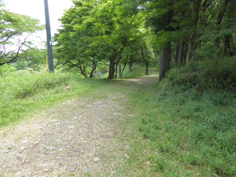P1010350_mid.jpg