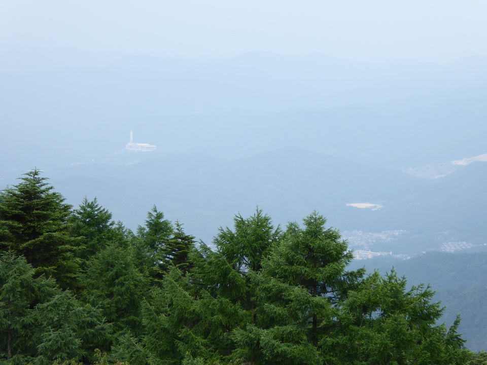 P1010353_mid.jpg