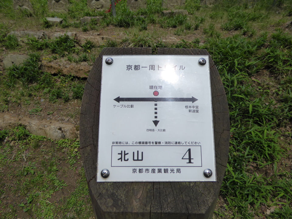 P1010355_mid.jpg