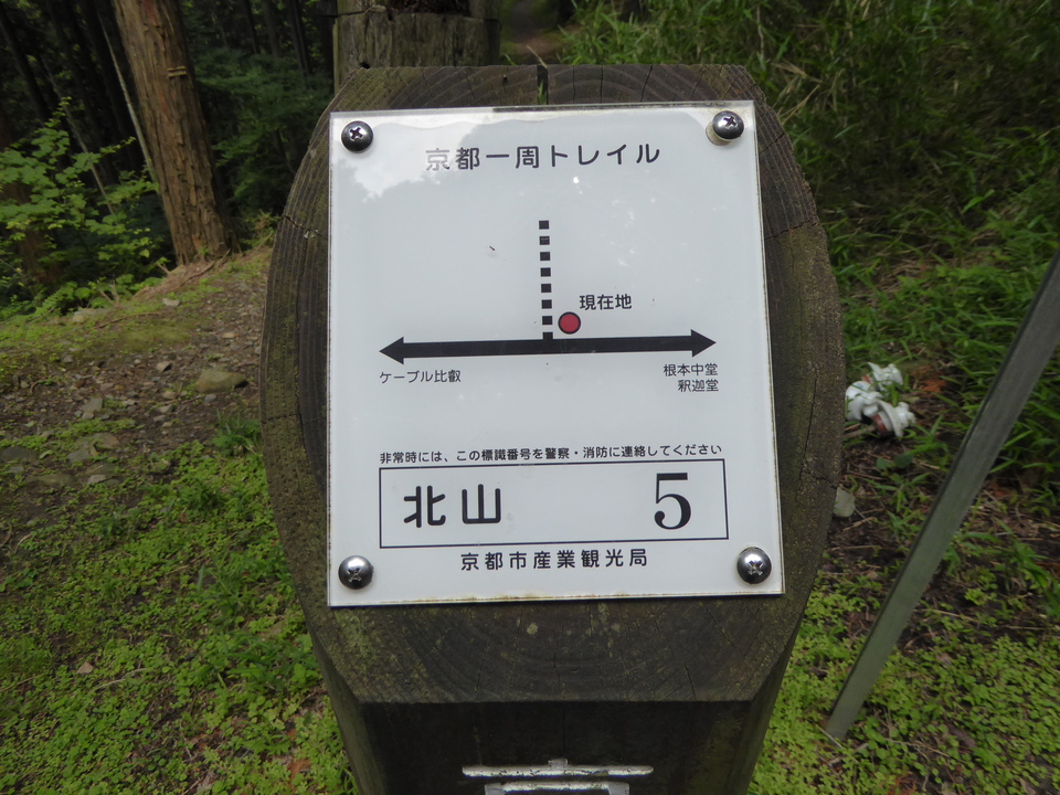 P1010359_mid.jpg