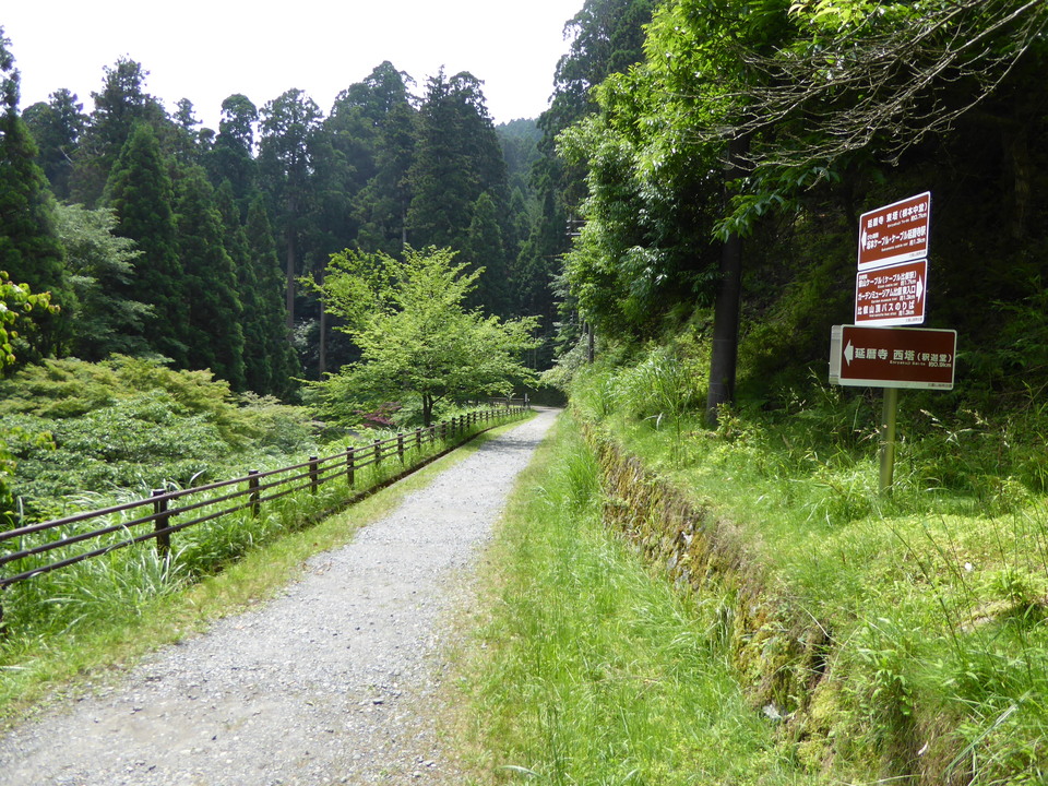 P1010365_mid.jpg