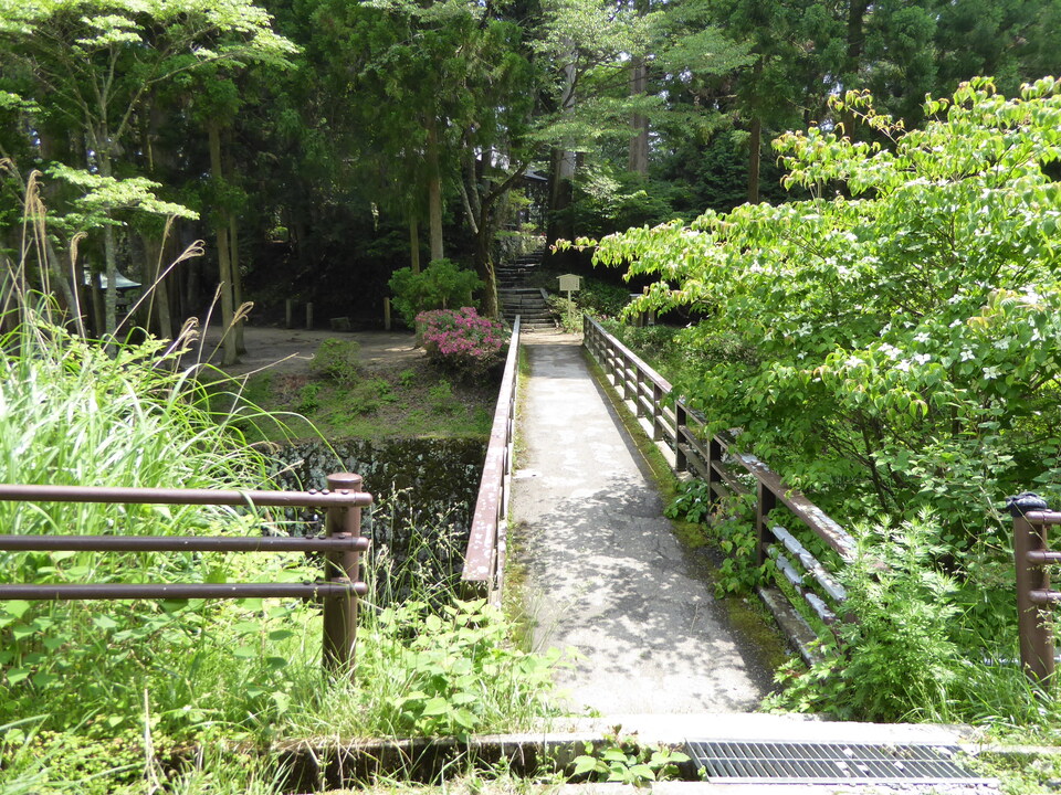 P1010367_mid.jpg