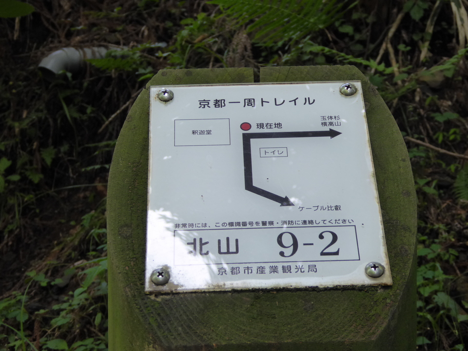 P1010390_mid.jpg