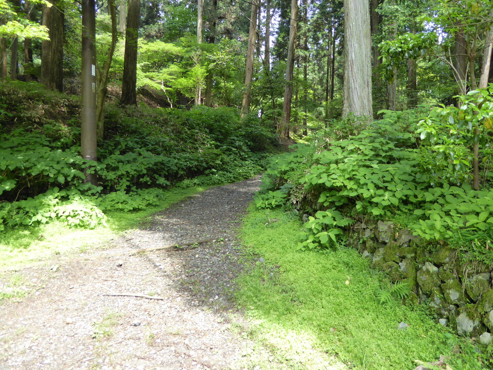 P1010401_mid.jpg