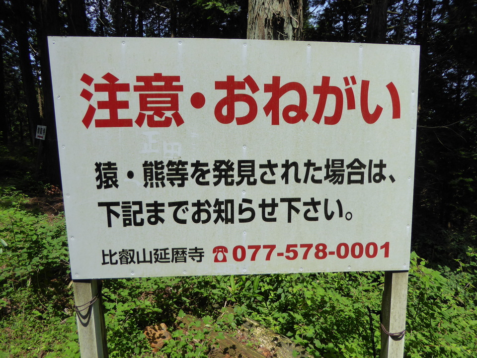 P1010418_mid.jpg