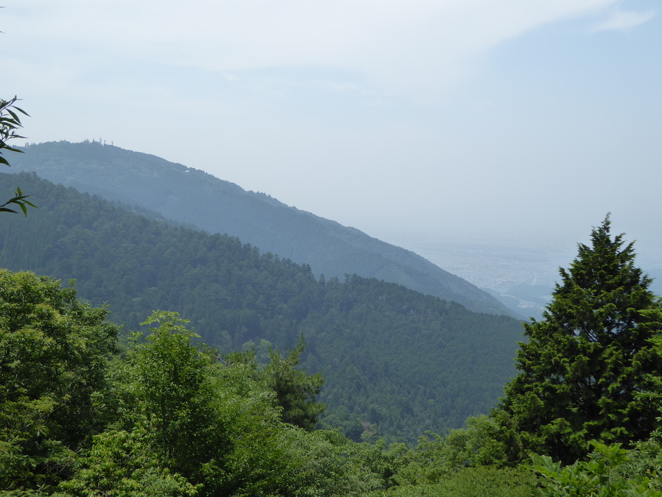 P1010435_mid.jpg