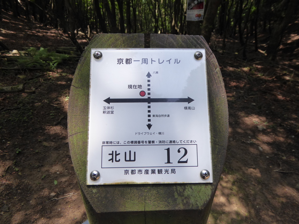 P1010436_mid.jpg