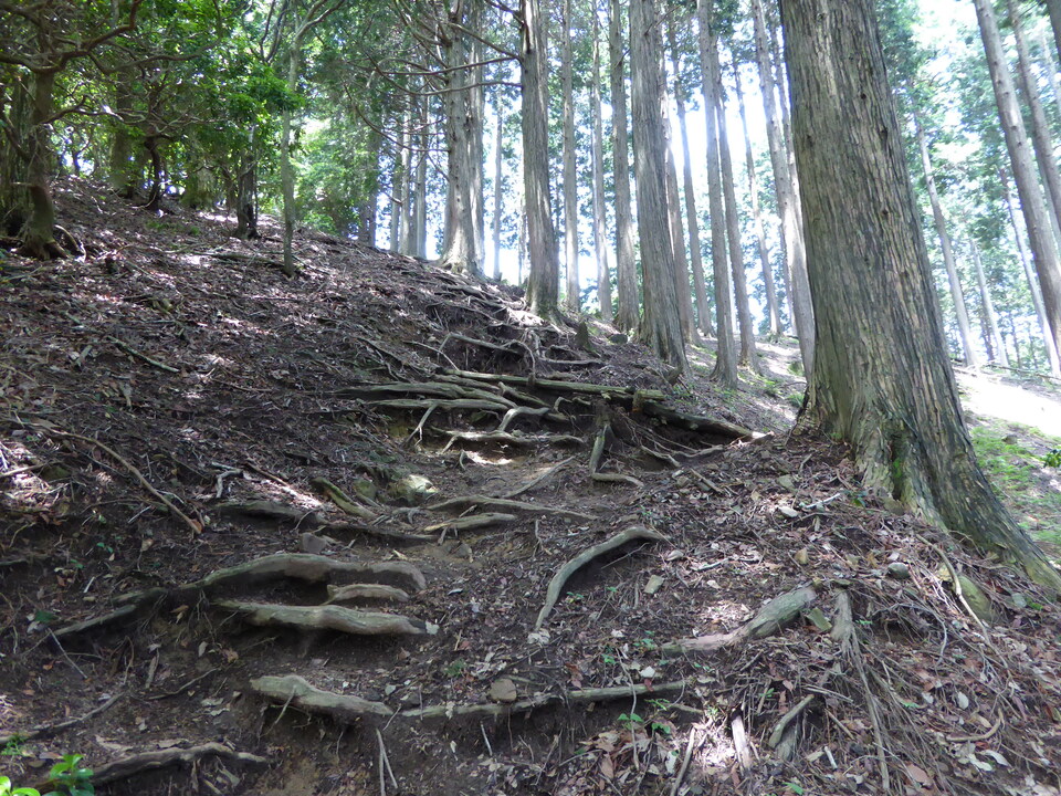 P1010445_mid.jpg