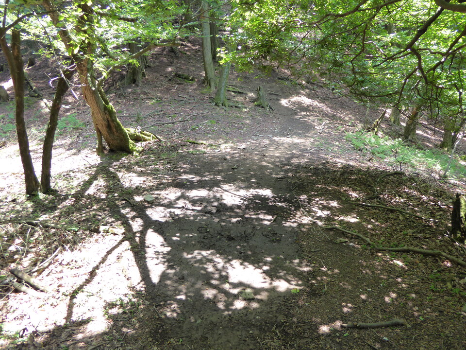P1010454_mid.jpg