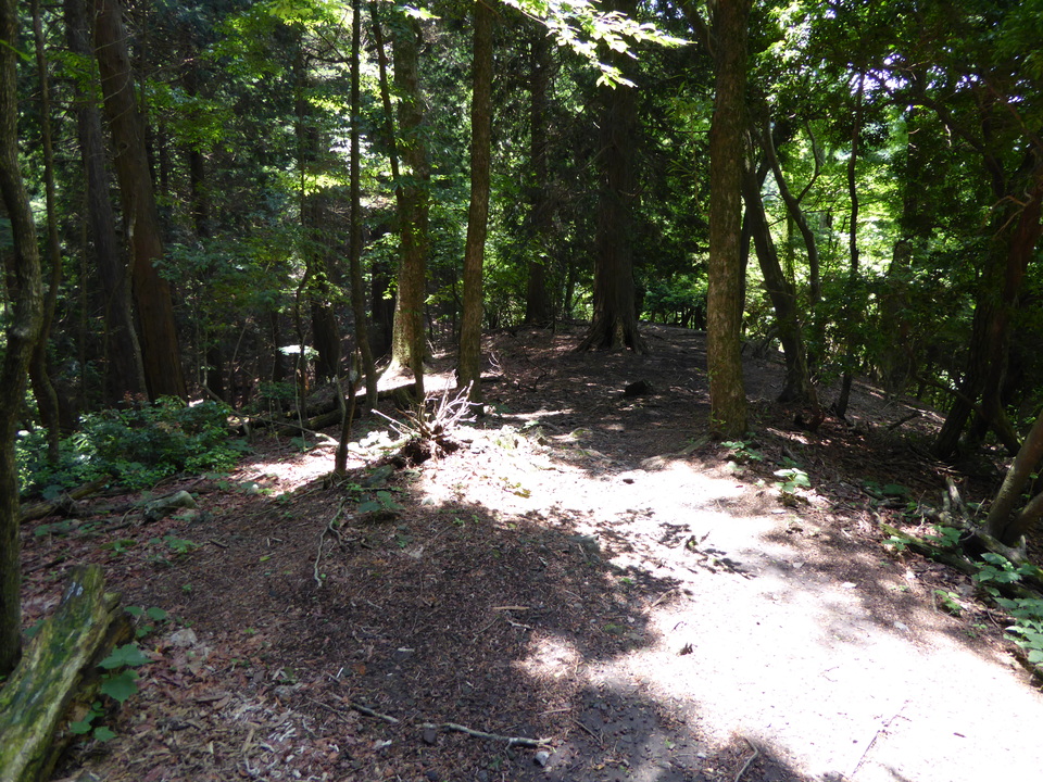 P1010462_mid.jpg