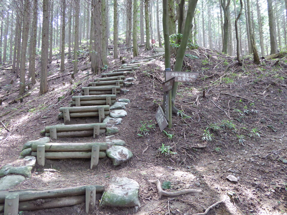 P1010471_mid.jpg