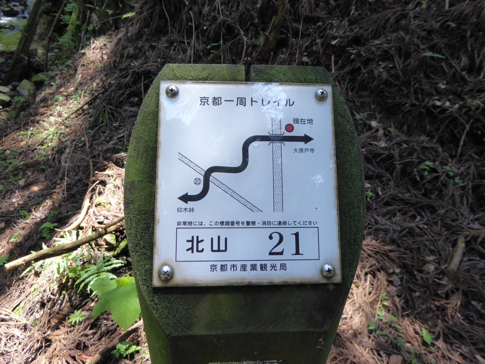P1010493_mid.jpg