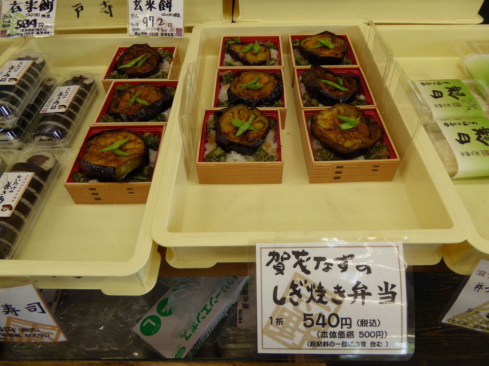 P1010503_mid.jpg