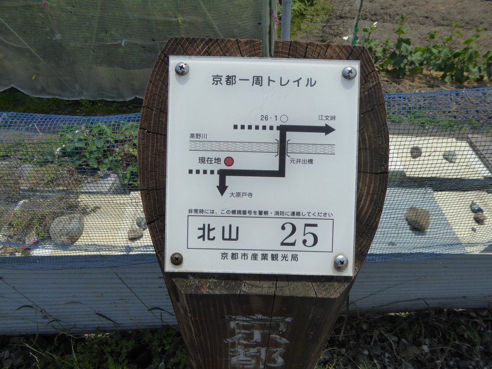 P1010504_mid.jpg