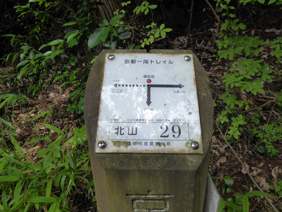 P1010520_mid.jpg
