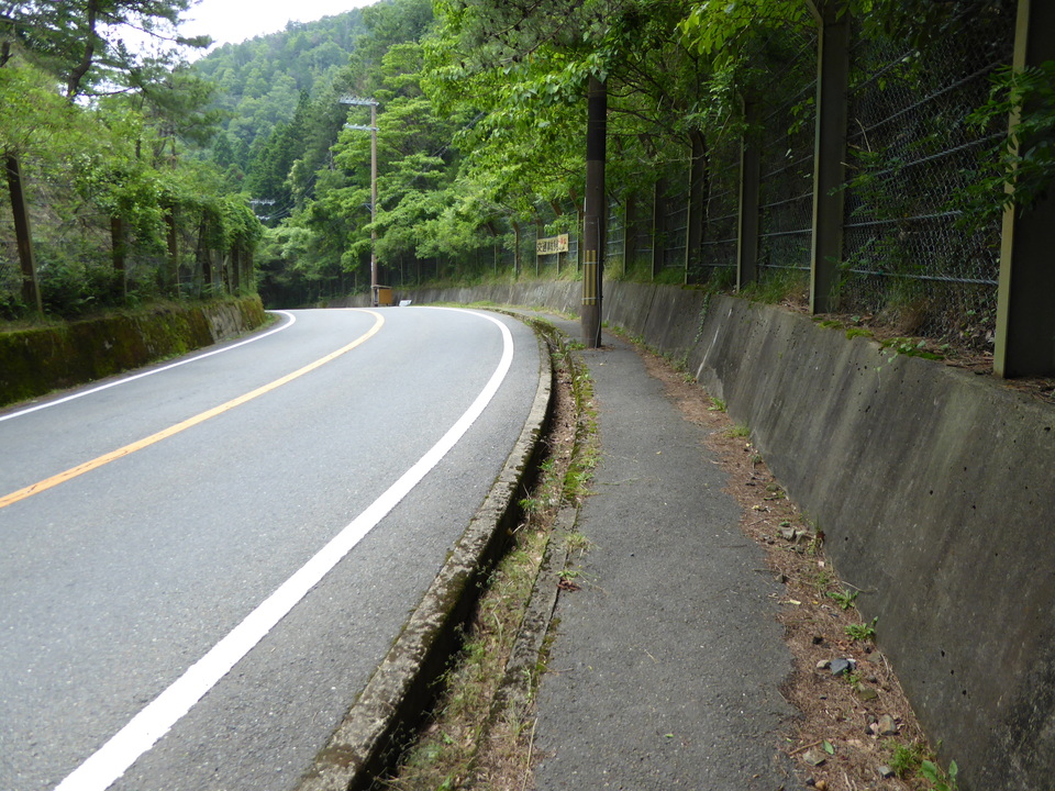 P1010528_mid.jpg