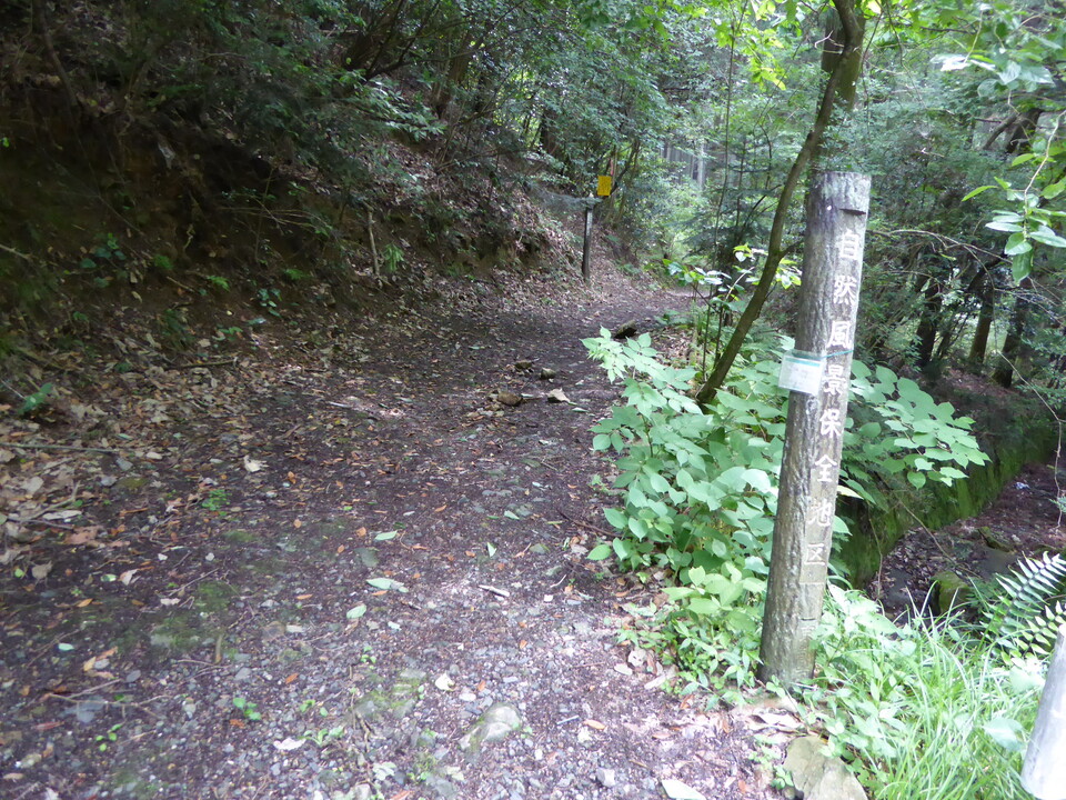 P1010532_mid.jpg