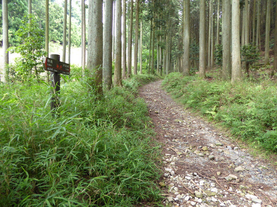 P1010534_mid.jpg