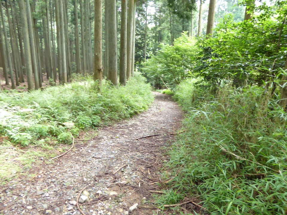 P1010535_mid.jpg