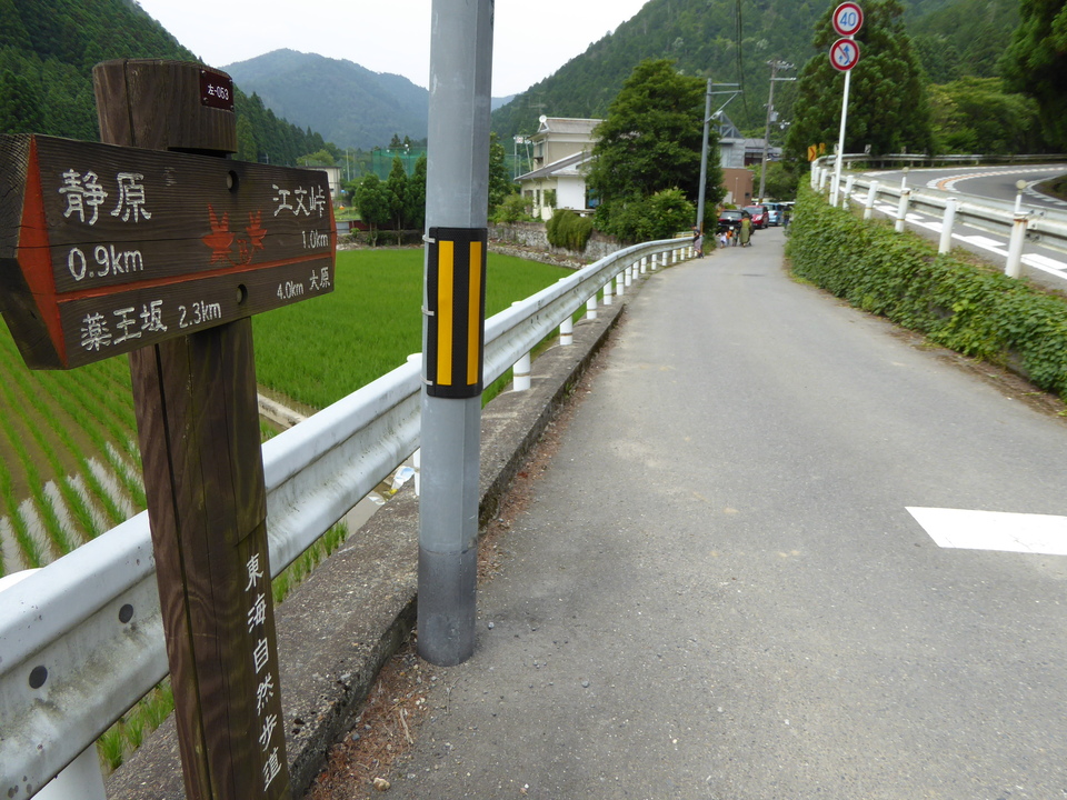 P1010537_mid.jpg