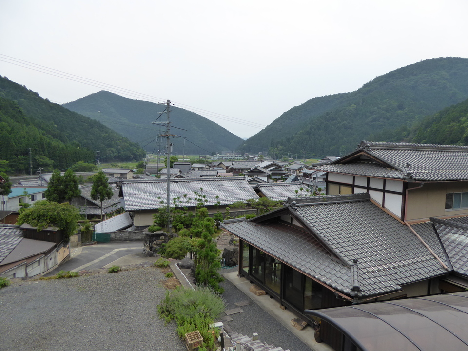 P1010551_mid.jpg