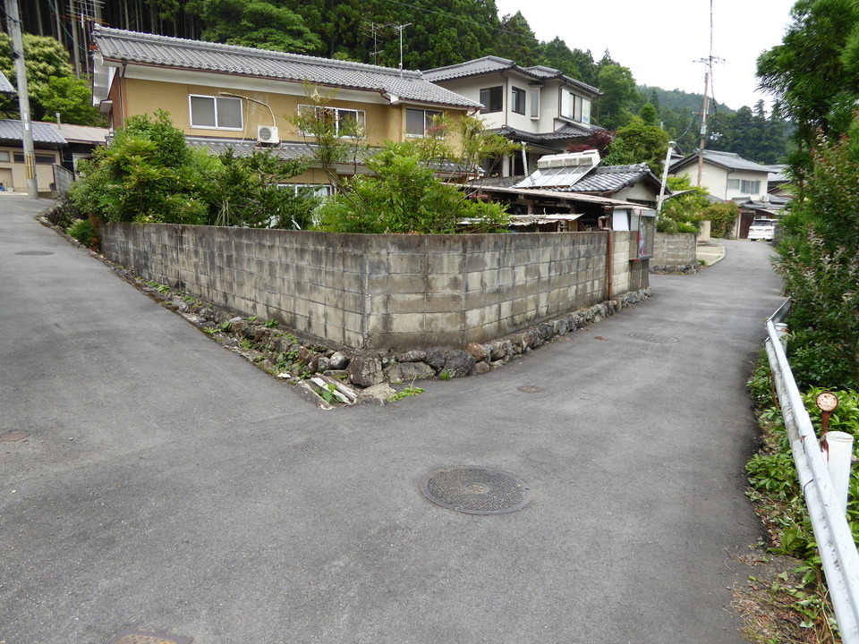 P1010554_mid.jpg