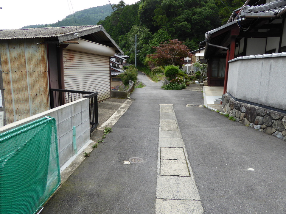 P1010559_mid.jpg