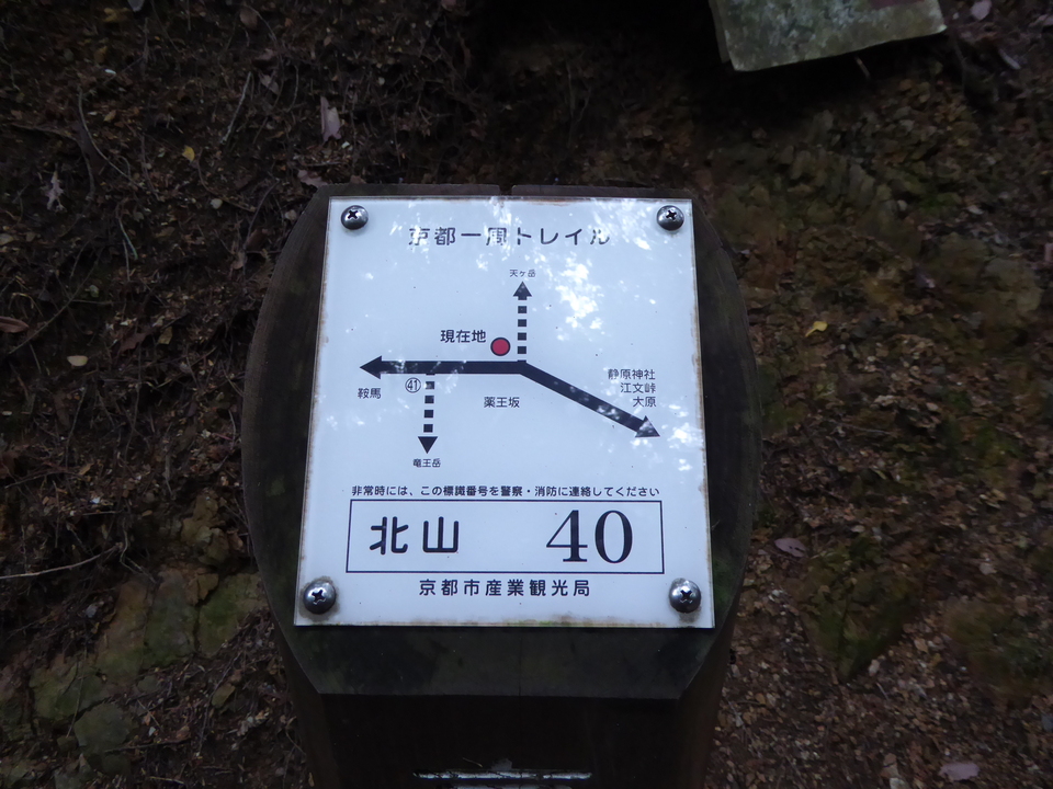 P1010575_mid.jpg