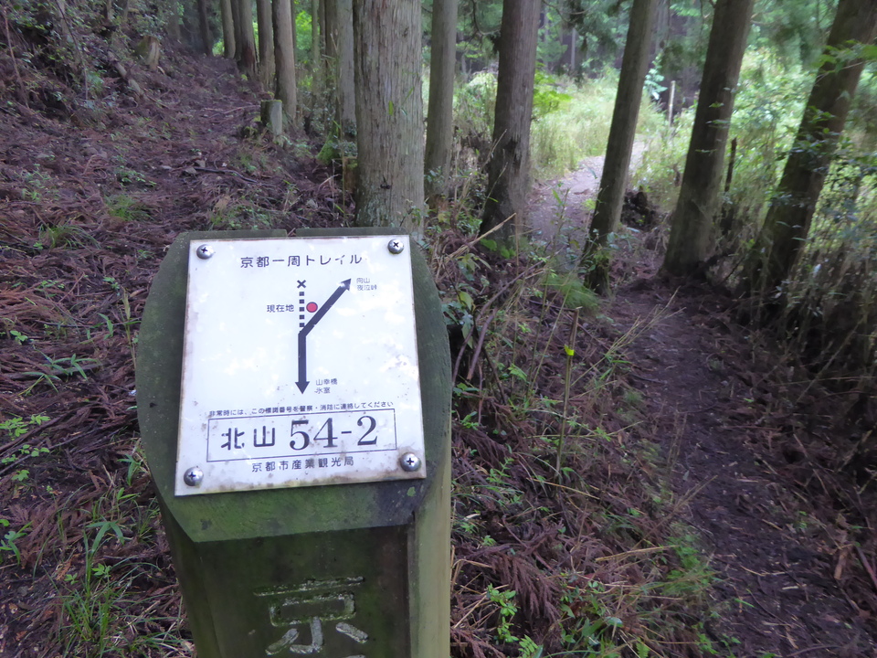 P1010687_mid.jpg
