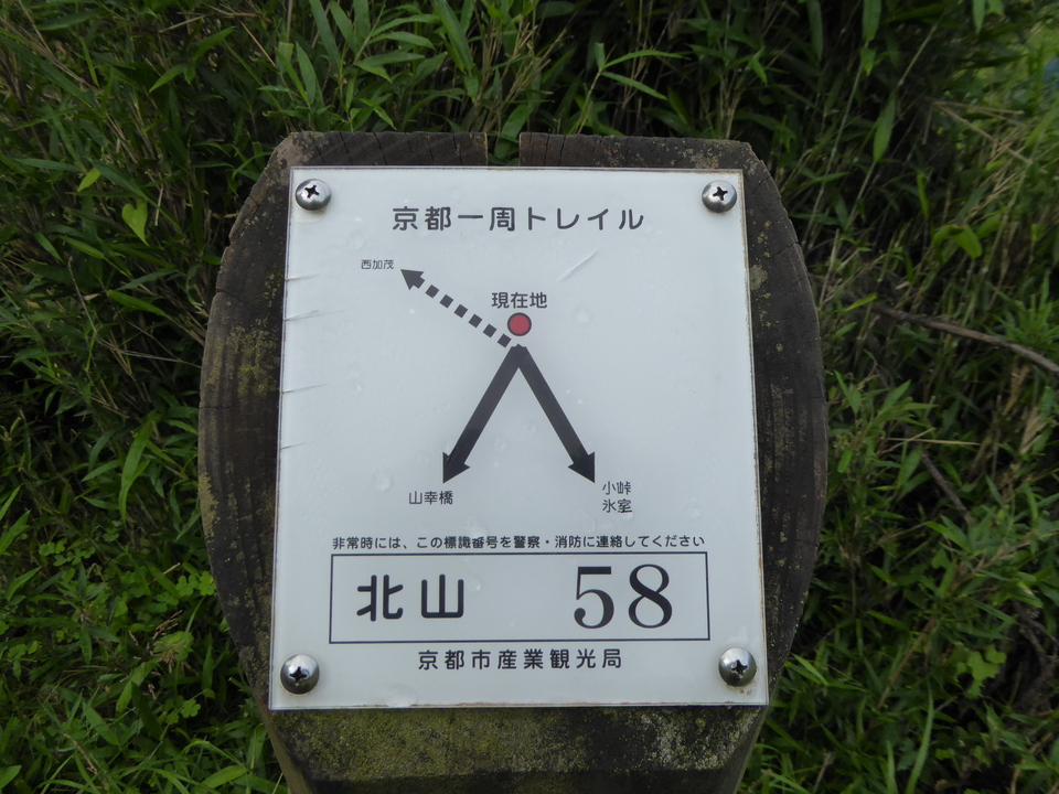 P1010706_mid.jpg