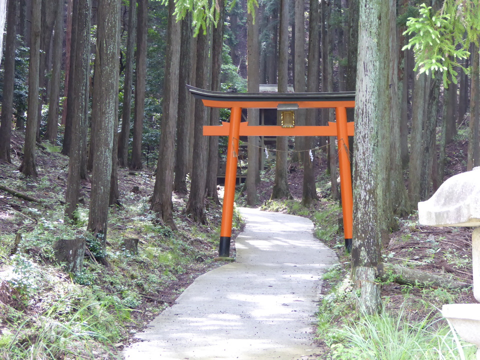 P1010743_mid.jpg