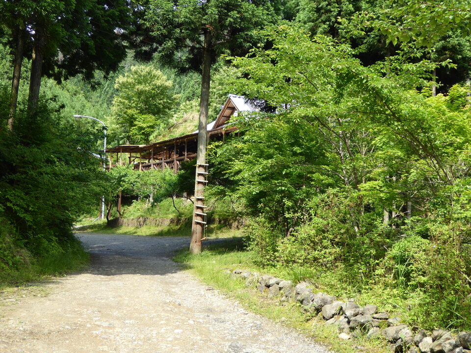 P1010753_mid.jpg
