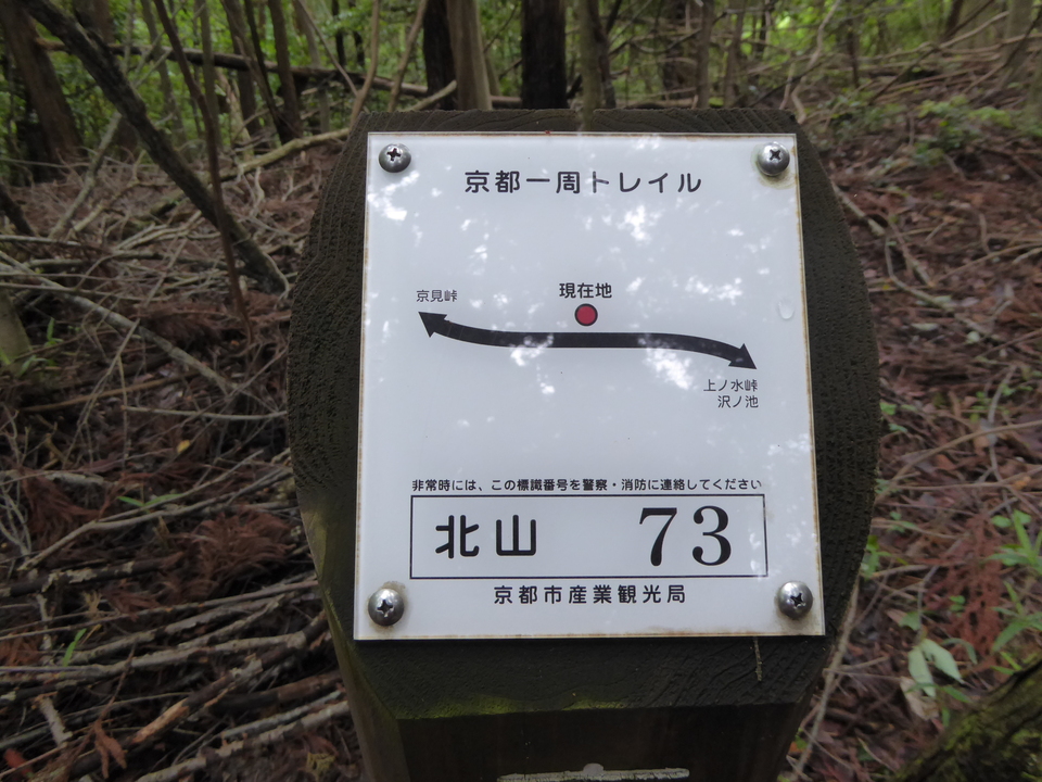 P1010792_mid.jpg