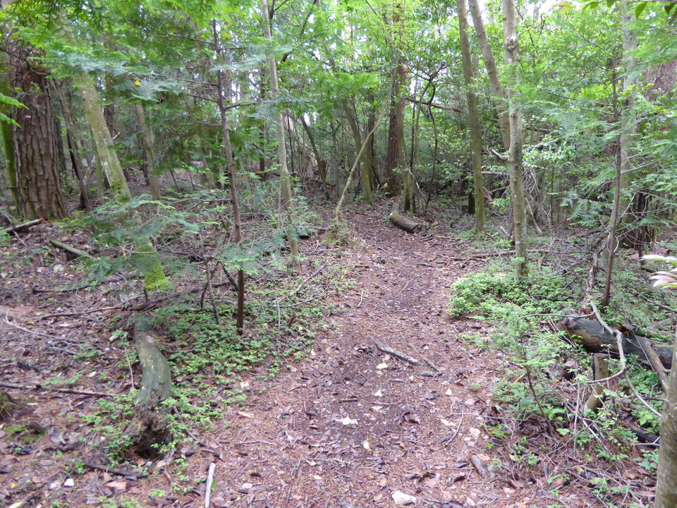 P1010797_mid.jpg