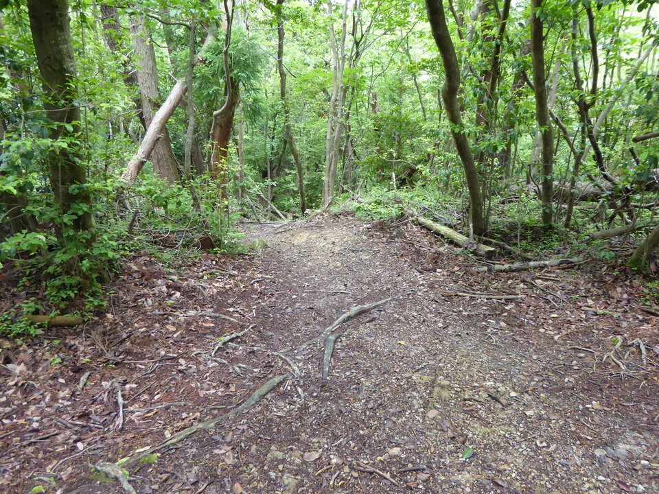 P1010825_mid.jpg