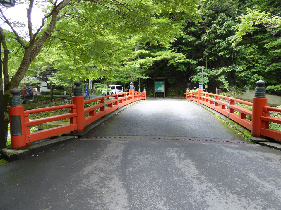 P1010857_mid.jpg