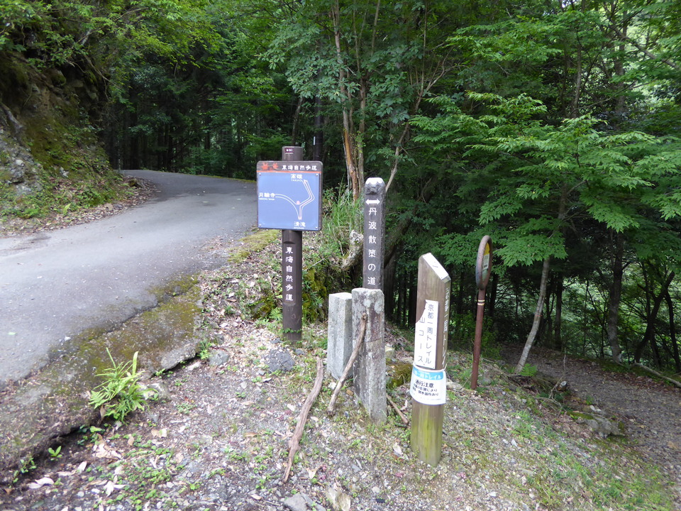 P1010889_mid.jpg